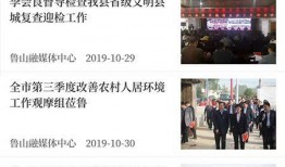 鲁山爆料者最新回应新闻,揭秘事件真相与后续发展